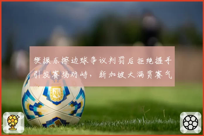 樊振东擦边球争议判罚后拒绝握手引发赛场对峙,新加坡大满贯赛气氛凝固