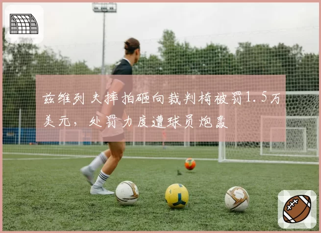 兹维列夫摔拍砸向裁判椅被罚1.5万美元，处罚力度遭球员炮轰