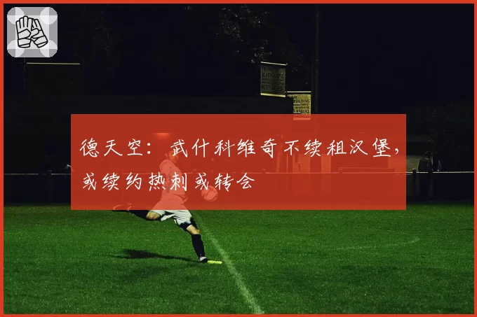 德天空：武什科维奇不续租汉堡，或续约热刺或转会