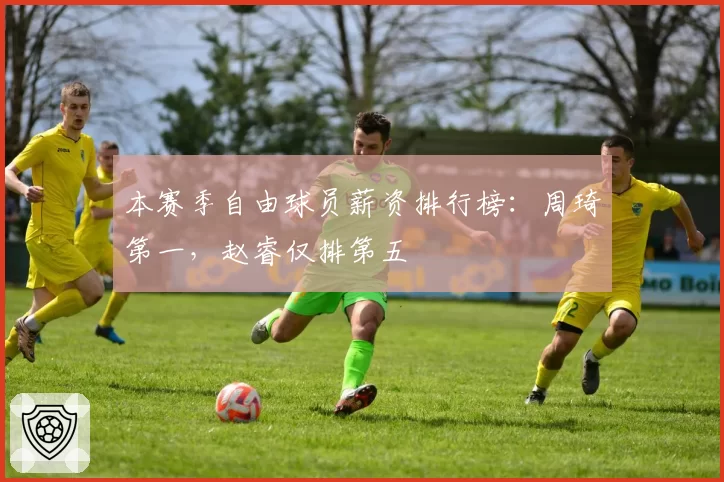 本赛季自由球员薪资排行榜：周琦第一，赵睿仅排第五